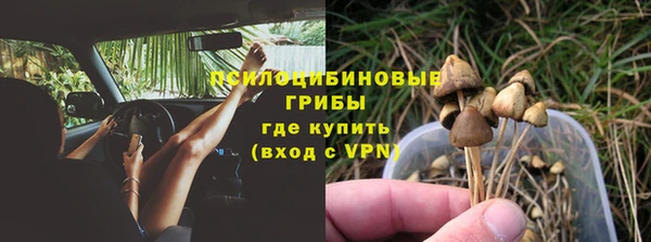 гидра Алзамай