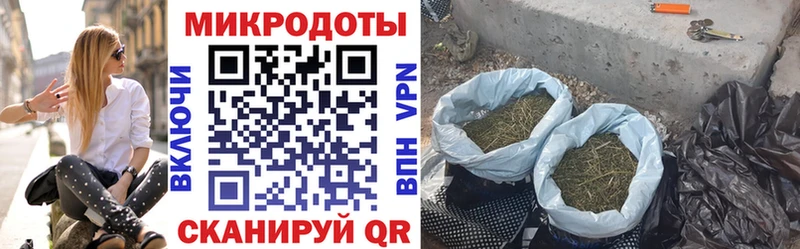 Купить где  Нижний Новгород  Галлюциногенные грибы Magic Shrooms 
